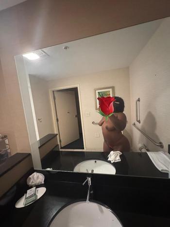 Safire, 20  female escort, Daytona